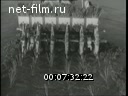 Footage frame