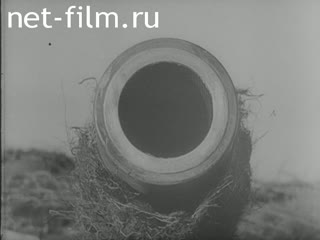 Киножурнал Киноотчет из Генерал-Губернаторства №23631 (1944)