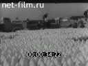 Footage frame