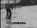 Кадр видео