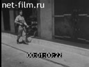 Кадр видео