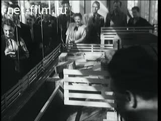 Киножурнал Новости дня / хроника наших дней №51-1955 (1955)