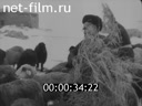 Кадр видео