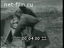 Кадр видео