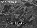Footage frame