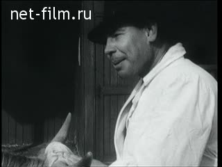 Киножурнал Новости дня / хроника наших дней №26-1955 (1955)