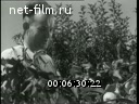 Footage frame