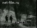 Кадр видео