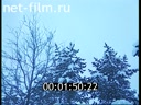 Человек недели №1 29.12.1994