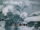 Footage frame