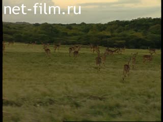 Footage Africa, national park False bay park Fossils. (2000-2009)