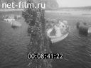 Кадр видео