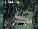 Footage frame