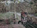 Кадр видео