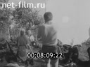 Кадр видео