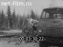 Кадр видео