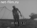 Кадр видео