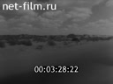 Волжские огни №31 Зона особого контроля. Сочинение Совмина СССР для Волги и Каспия на музыку Альфреда Шнитке