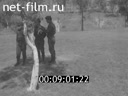 Кадр видео