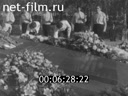 Кадр видео