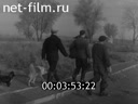 Кадр видео