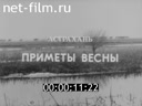 Кадр видео