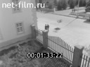 Кадр видео