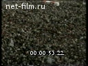 Япония:Месса памяти жертв самой крупнейшей в Японии авиационной катастрофы.(Зарубежные новостные сюжеты №94, )