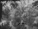 Кадр видео