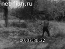 Кадр видео