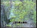 Footage frame