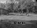 Кадр видео