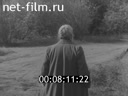 Кадр видео