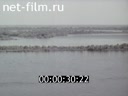 Водоворот