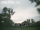 Кадр видео