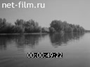 Кадр видео