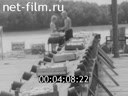 Кадр видео