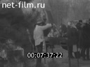 Кадр видео