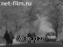 Кадр видео