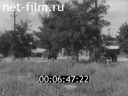 Footage frame