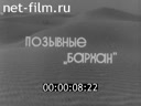 Кадр видео