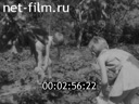 Кадр видео