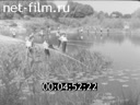 Кадр видео