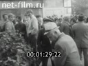 Кадр видео