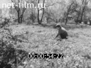 Кадр видео