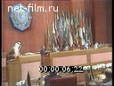 Кадр видео