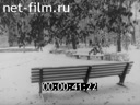 Нижнее Поволжье №33