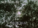 Footage frame