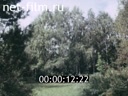 Footage frame