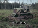 Best practices of the forestry machine operator Sirotkin